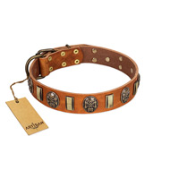"Strike of Rock" FDT Artisan Tan Leather American Bulldog Collar with Plates and Medallions with Skulls