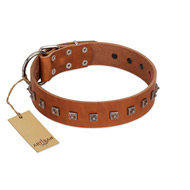"Guard of Honour " Designer FDT Artisan Tan Leather American Bulldog Collar with Small Dotted Pyramids