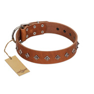 "Broadway" Handmade FDT Artisan Tan Leather American Bulldog Collar with Dotted Pyramids