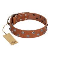 "Waltz of the Flowers" Handmade FDT Artisan Tan Leather American Bulldog Collar with Chrome-plated Engraved Studs