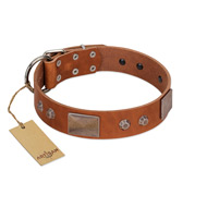 "Great Obelisk" Handcrafted FDT Artisan Tan Leather American Bulldog Collar with Large Plates and Pyramids