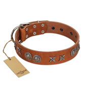"Splendid Armor" Premium Quality FDT Artisan Tan Designer American Bulldog Collar with Shields and Stars