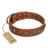 "Luxurious Life" Premium Quality FDT Artisan Tan Leather American Bulldog Collar with Round Adornments
