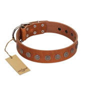 "Lucky Star" Handmade FDT Artisan Designer Tan Leather American Bulldog Collar with Round Plates