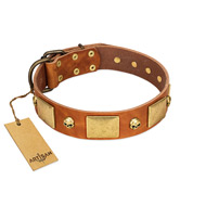 "Mutt The Daredevil" FDT Artisan Tan Leather American Bulldog Collar with Old Bronze-like Skulls and Plates