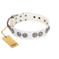 "Eye Candy" Appealing FDT Artisan White Leather American Bulldog Collar with Chrome Plated Medallions