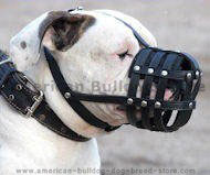 Everyday Light Weight Ventilation American Bulldog muzzle M41