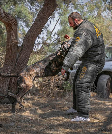 american bulldog best protection dog bite jackets FDT black