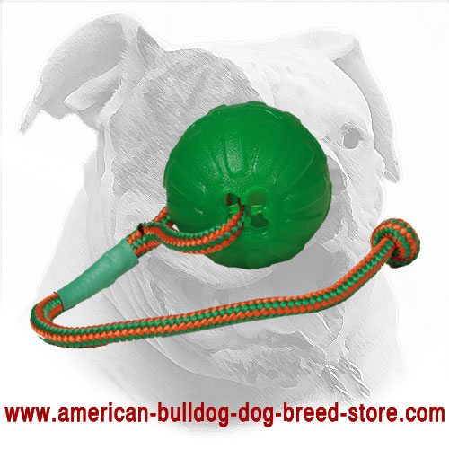  American Bulldog Ball