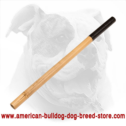  American Bulldog Bamboo Stick