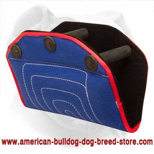 French Linen American Bulldog Bite Developer