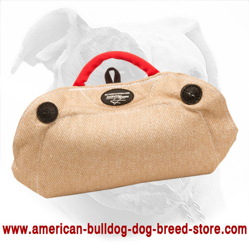 American Bulldog Bite Developer Made of Jute