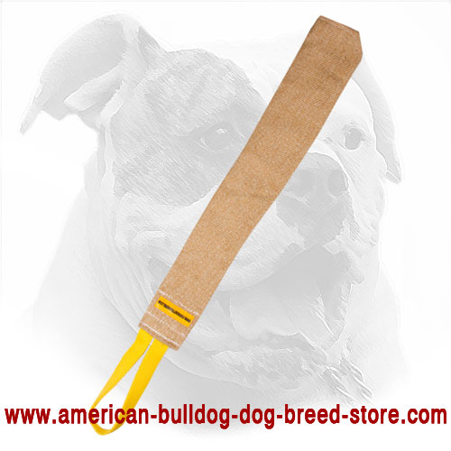 Training American Bulldog Bite Rag