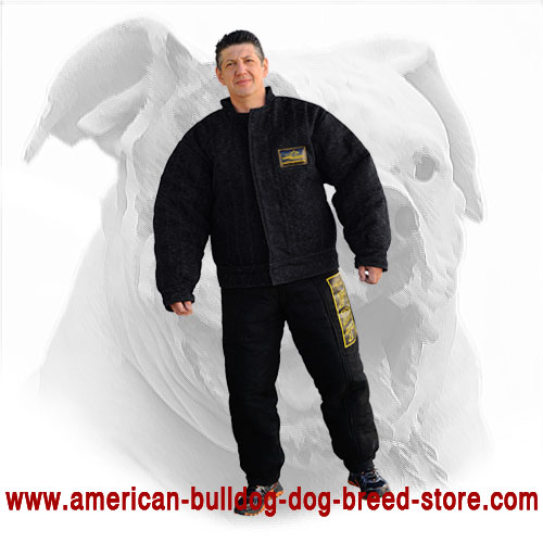 Training American Bulldog Bite Suit