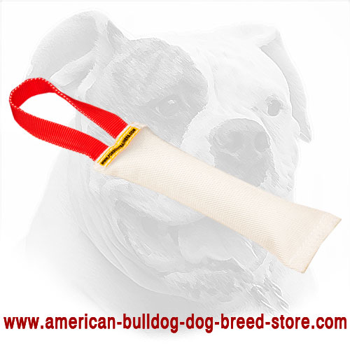 Fire Hose Dog Bite Tug for American Bulldog