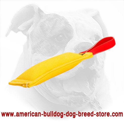  french Linen American Bulldog Bite Tug