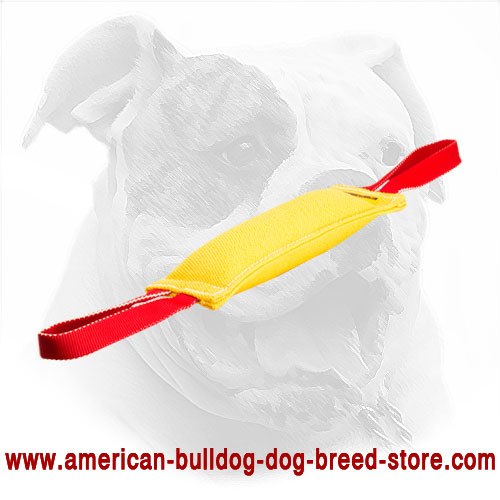 French Linen American Bulldog Bite Tug