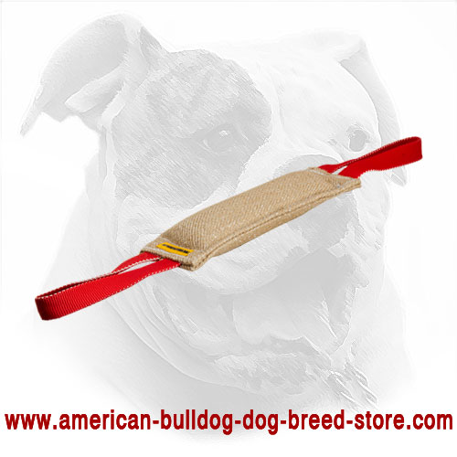 Jute American Bulldog Bite Tug 