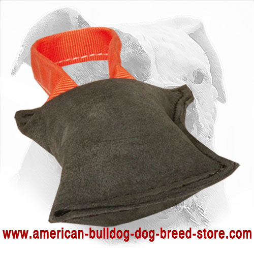  Training American Bulldog Bite Tug