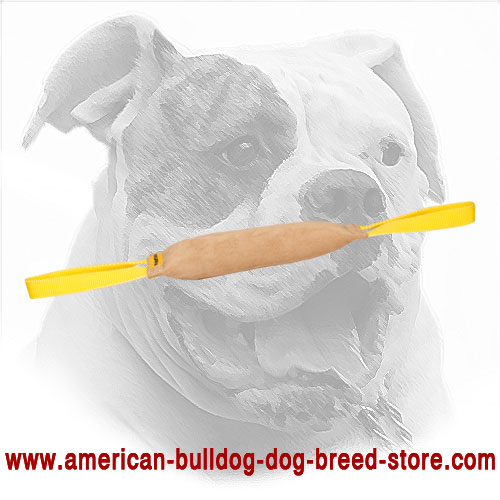  Leather Dog Bite Tug for American Bulldog 