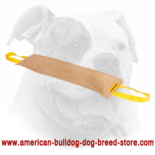 Leather American Bulldog Bite Tug