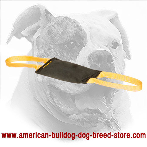 Leather American Bulldog Bite Tug