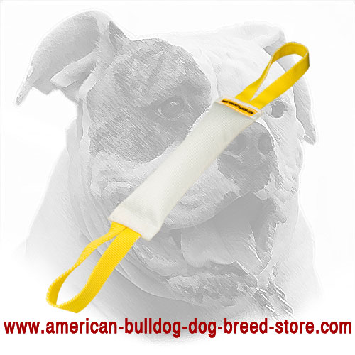 Fire Hose American Bulldog Bite Tug