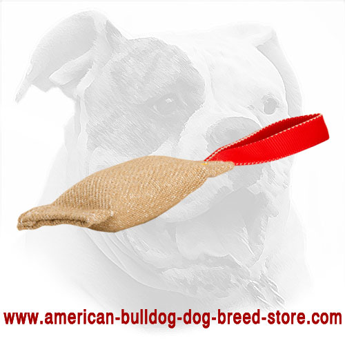 Stitched American Bulldog Bite Tug