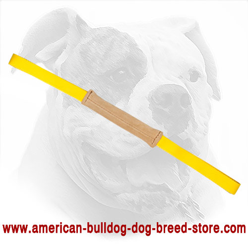 Leather American Bulldog Bite Tug