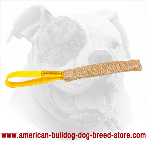 Jute American Bulldog Puppy Bite Tug