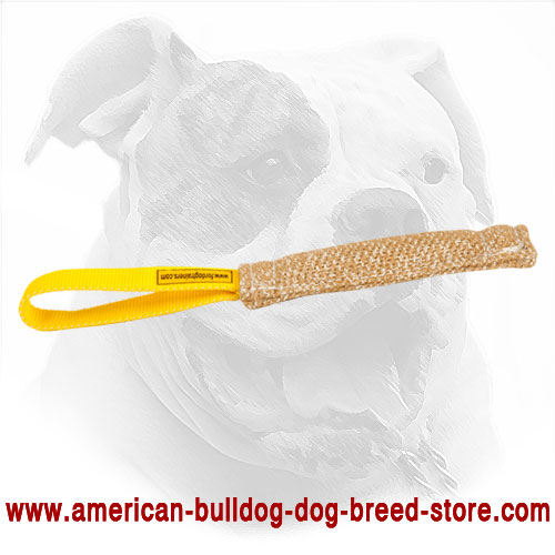 Jute American Bulldog Puppy Bite Tug