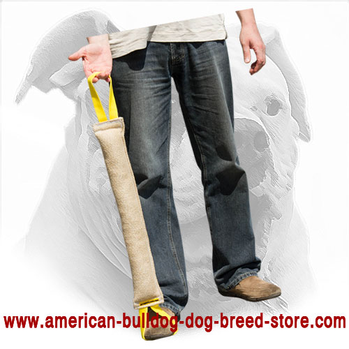 Jute American Bulldog Bite Tug