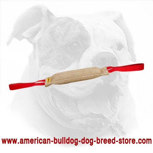 American Bulldog Bite Tug