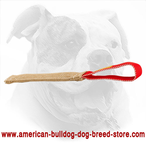 American Bulldog Bite Tug Made of Jute