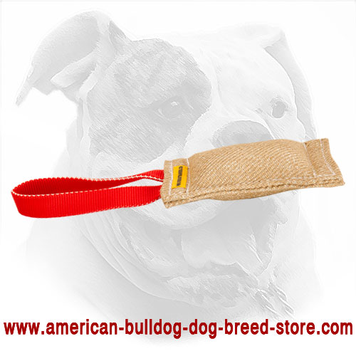Jute American Bulldog Bite Tug for Puppy
