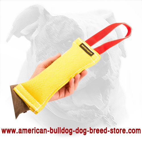 Reliable American Bulldog Bite Tug