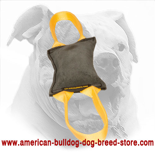 Dog Bite Tug for American Bulldog