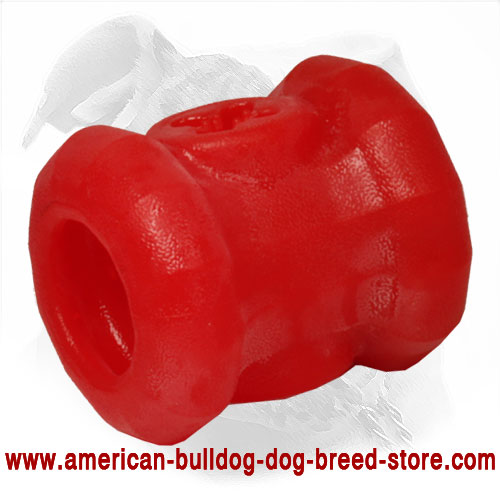  American Bulldog Toy for Chewing
