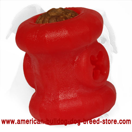 Foap American Bulldog Toy