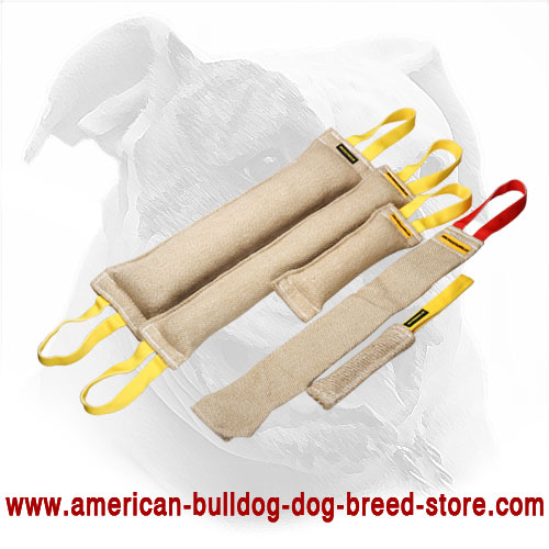 Jute American Bulldog Bite Tugs