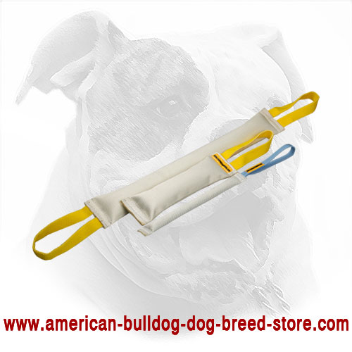 Fire Hose American Bulldog Bite Tugs