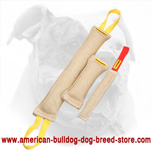 Set of Bite Tugs for American Bulldog