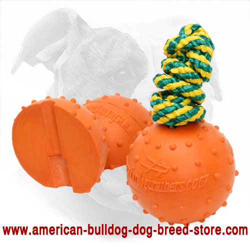 American Bulldog Rubber Ball