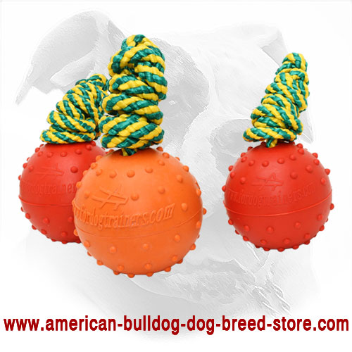 American Bulldog Rubber Ball 
