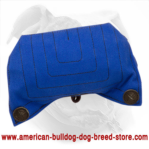 American Bulldog Bite Builder for Puppy