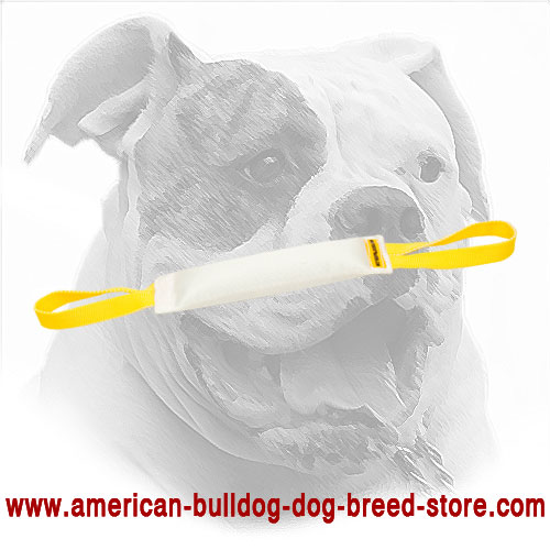Fire Hose Dog Bite Tug for American Bulldog
