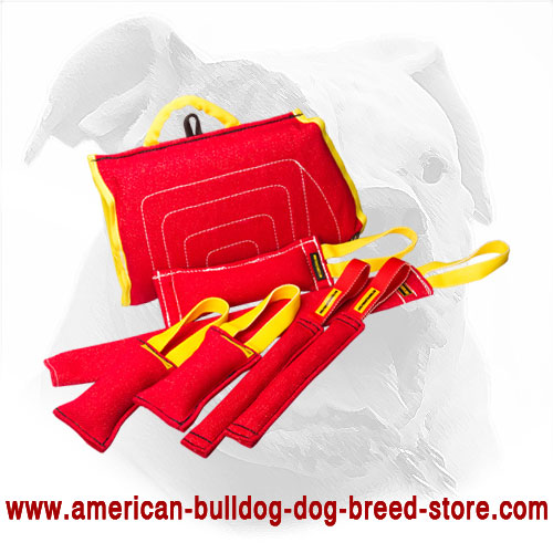  American Bulldog Bite Tugs