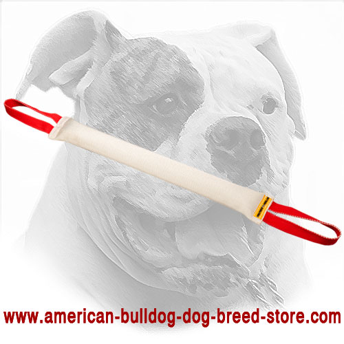 Fire Hose Dog Bite Tug for American Bulldog