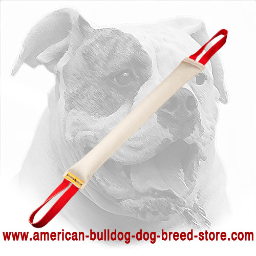 Fire Hose American Bulldog Bite Tug