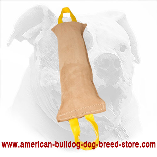 Leather Dog Bite Tug for American Bulldog